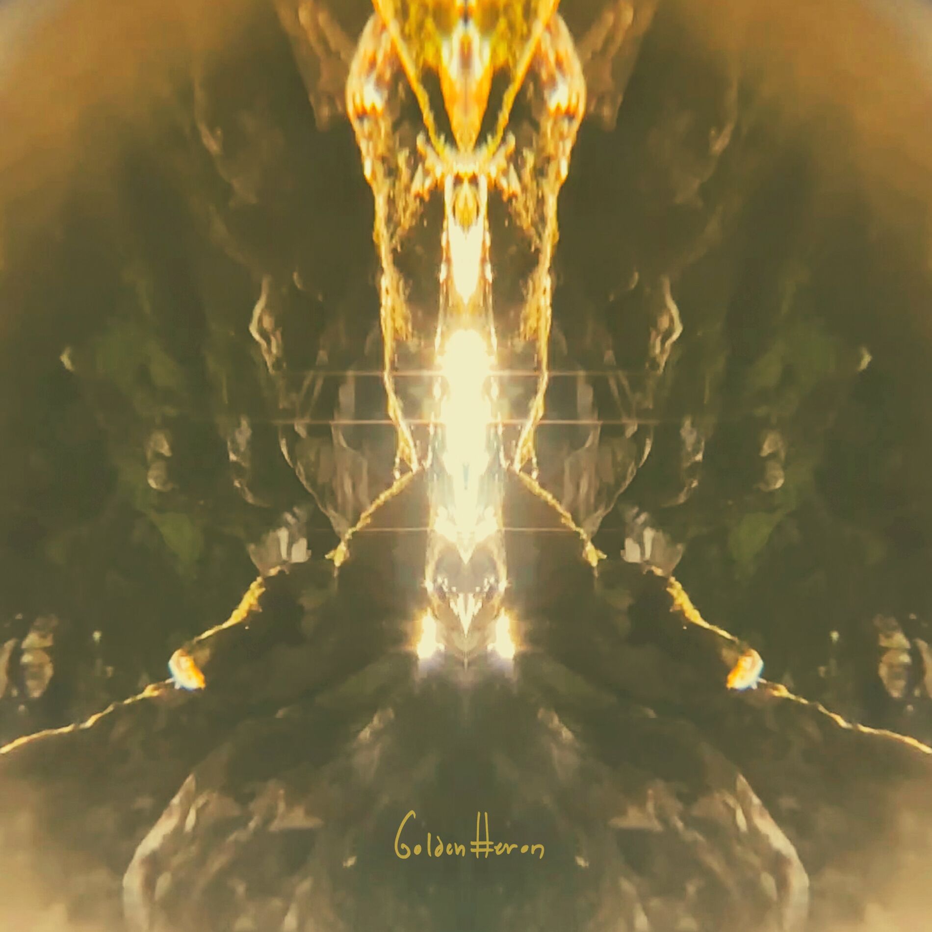 Album cover of Golden Heron