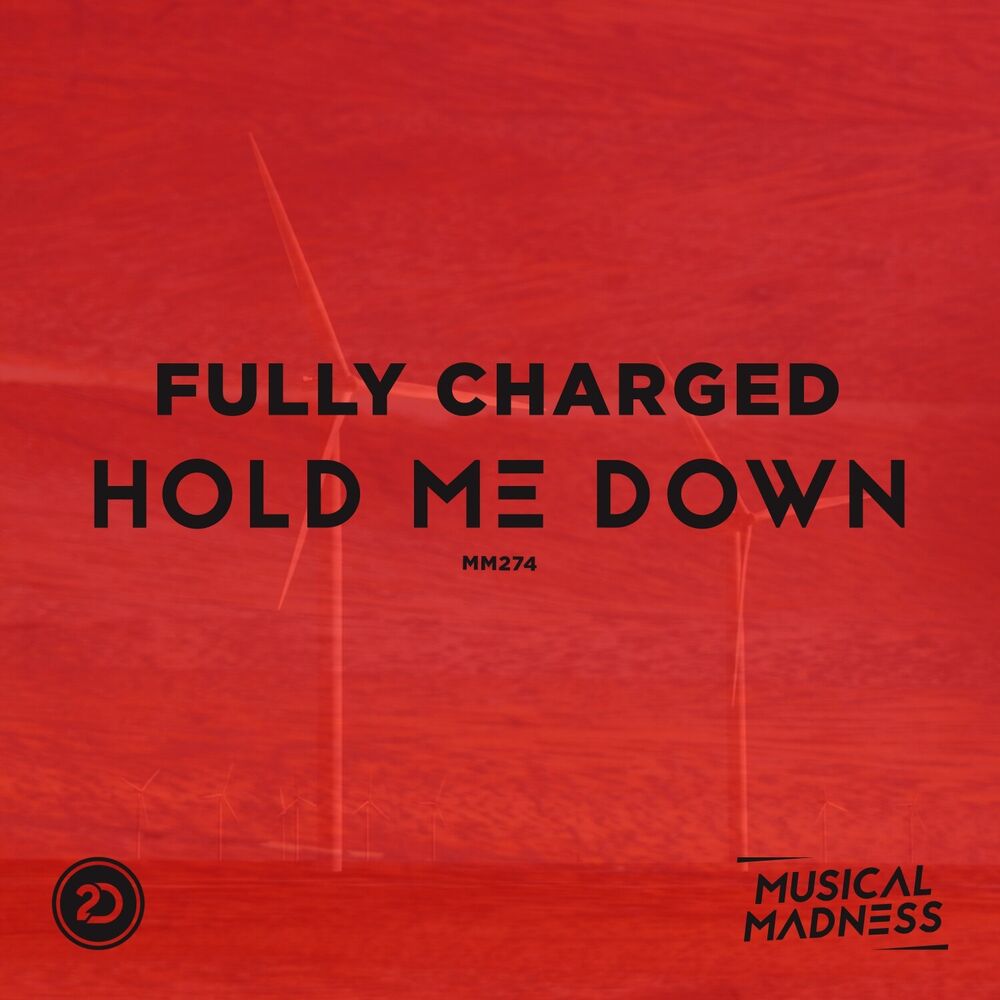 Picture of Hold Me Down
