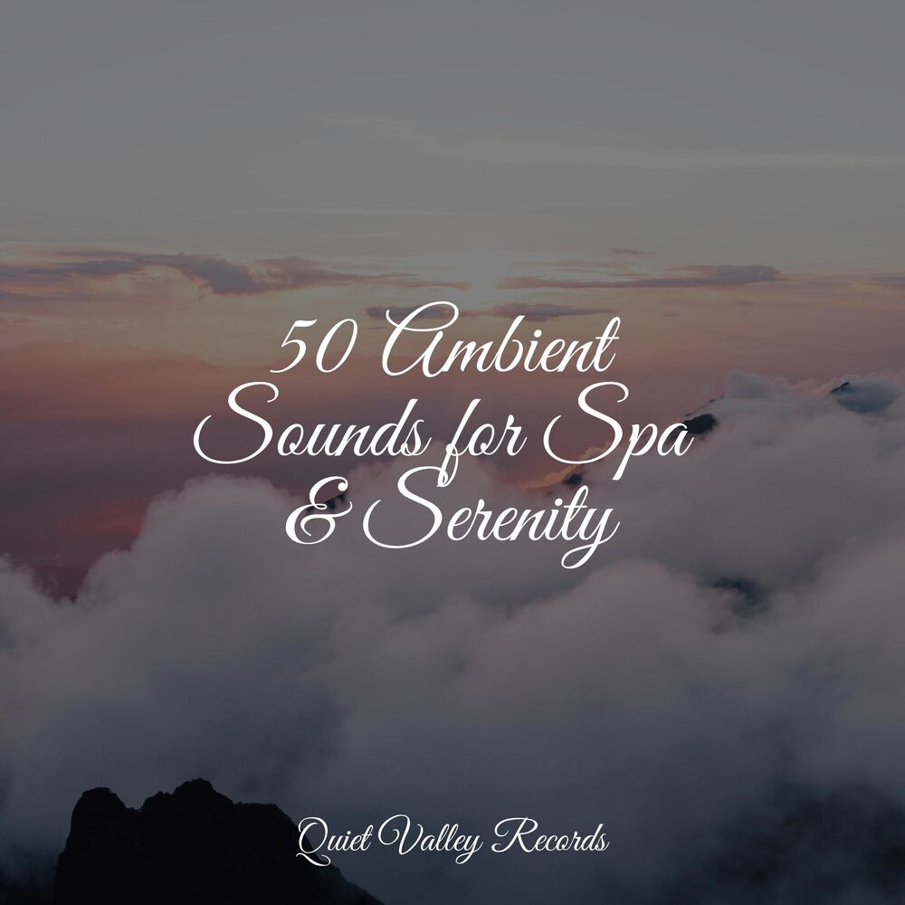 Picture of 50 Ambient Sounds for Spa & Serenity