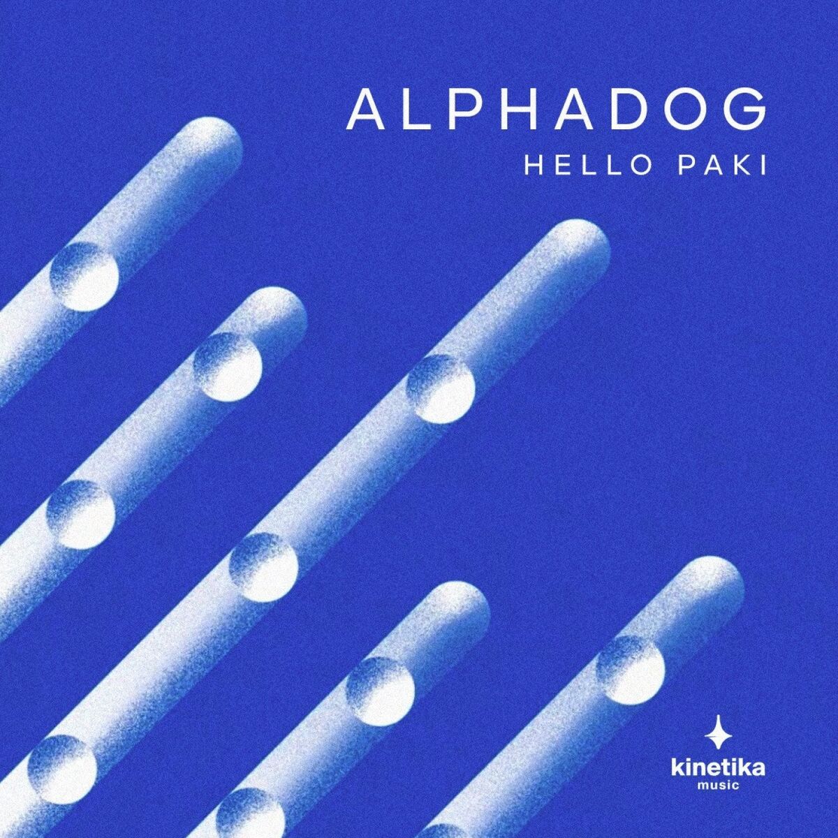 Album cover of Hello Paki