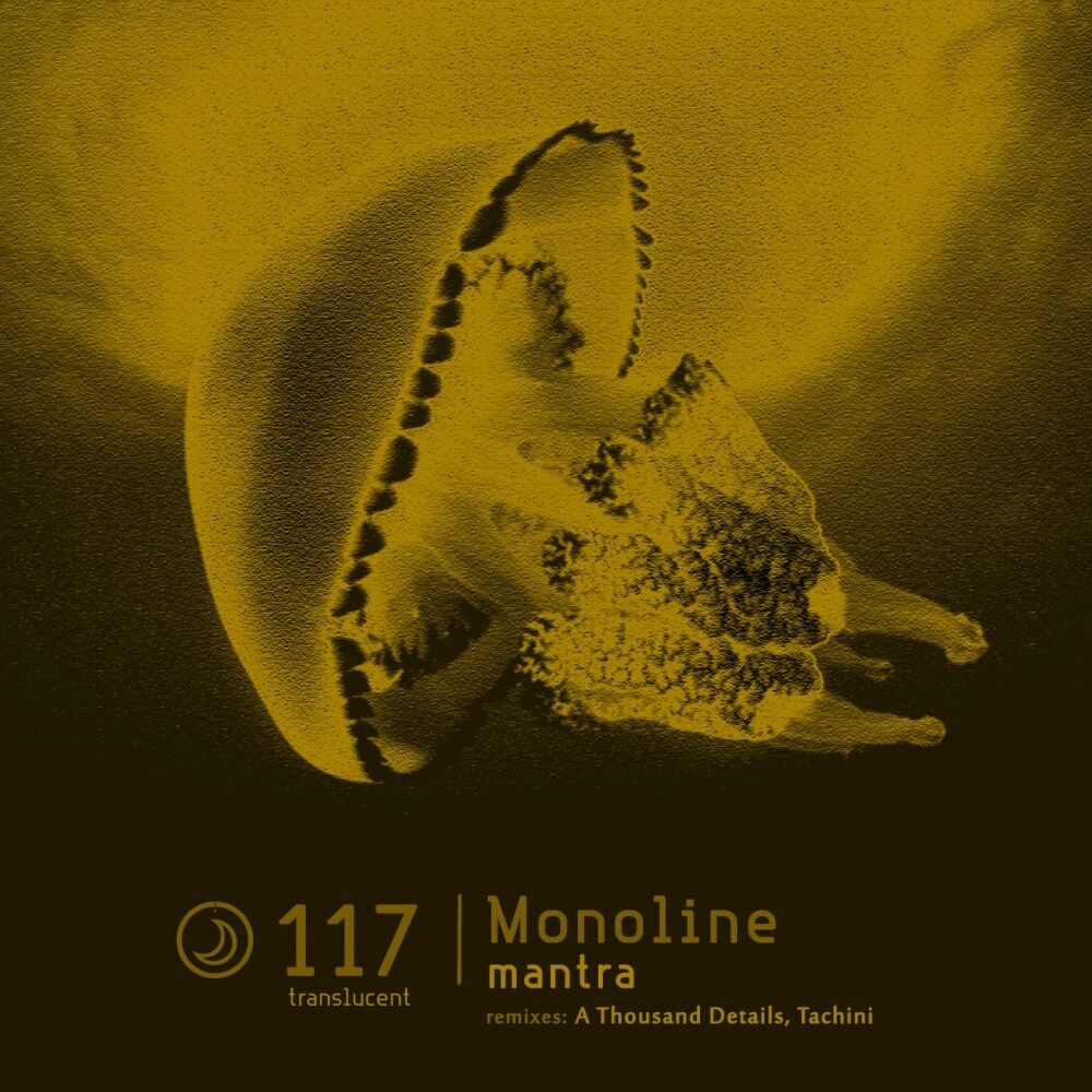 Picture of Mantra