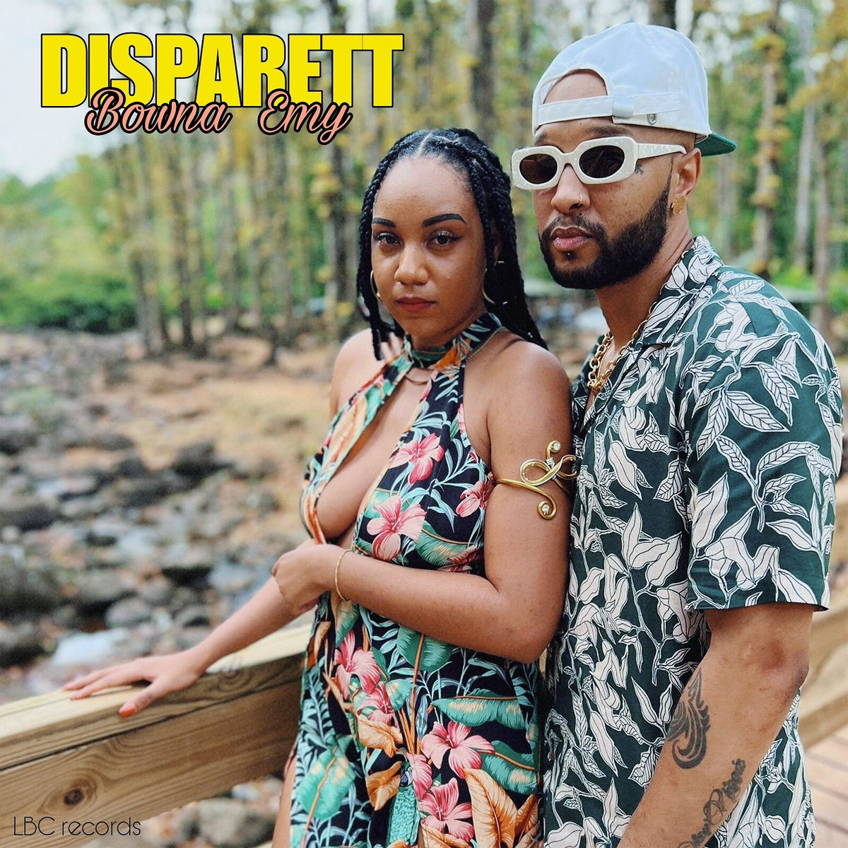 Album cover of Disparett