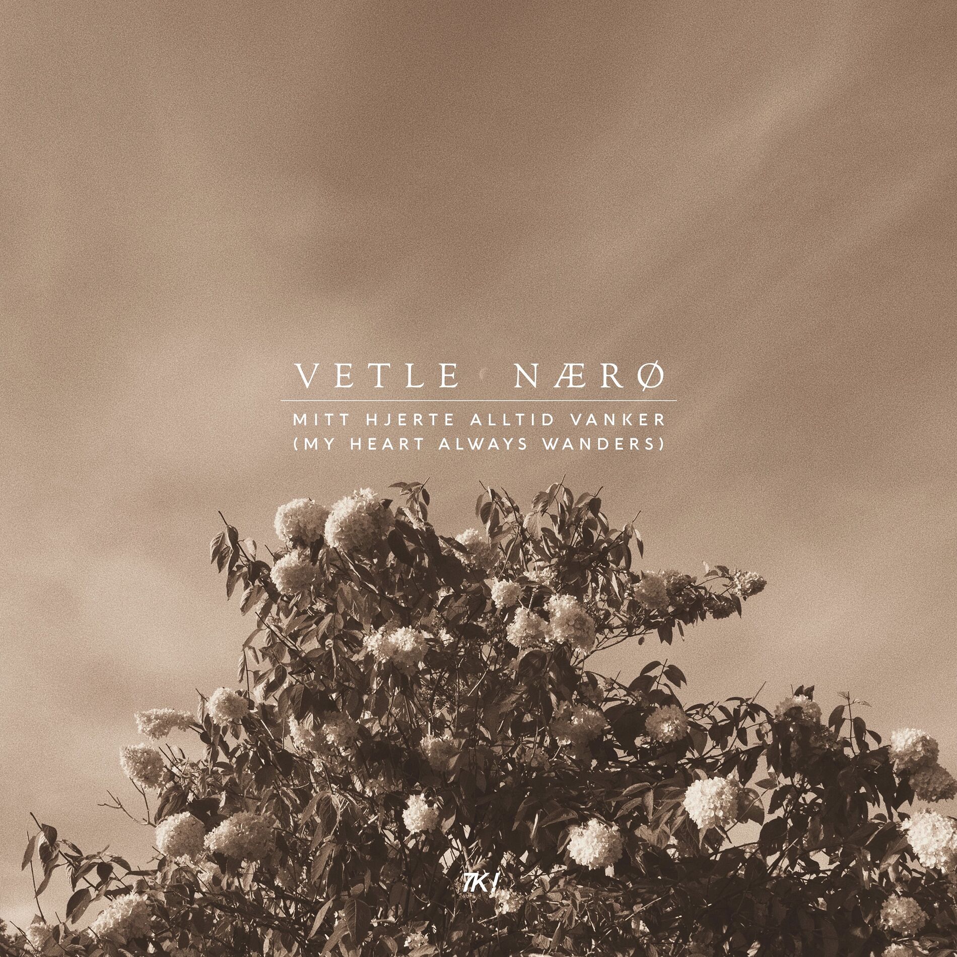 Album cover of Mitt hjerte alltid vanker
