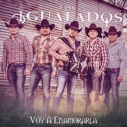 Cover of Voy a Enamorarla