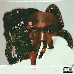 Cover of Sober for Wat