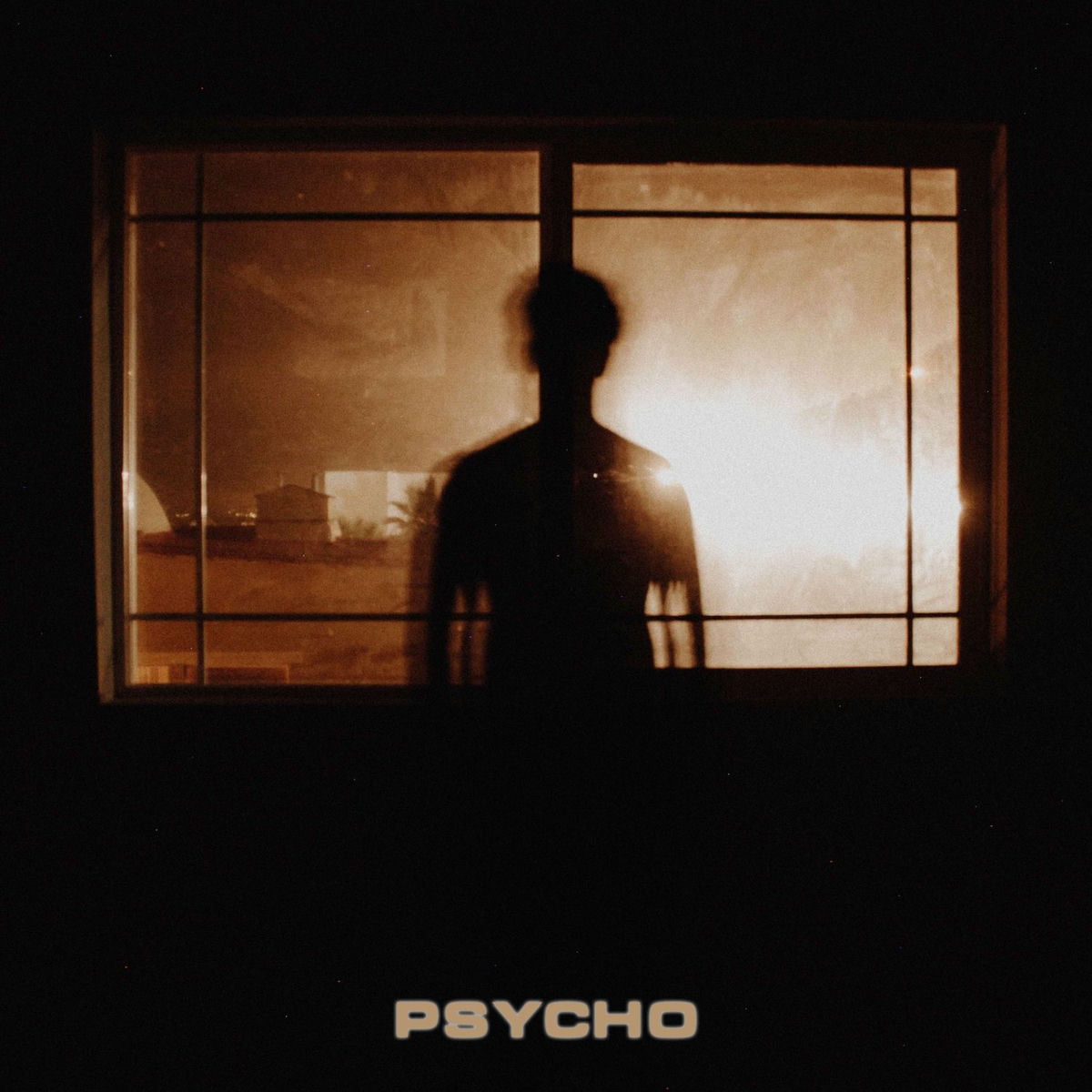 Album cover of Psycho