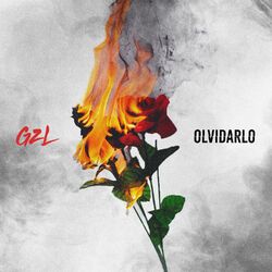 Cover of Olvidarlo
