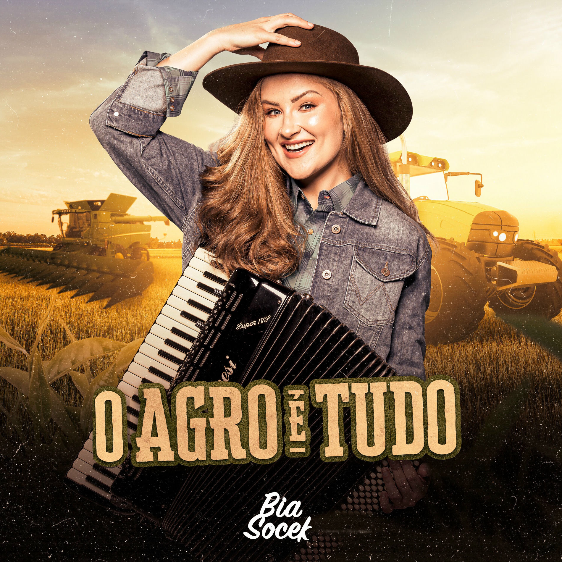 Album cover of O Agro É Tudo