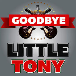 Cover of Goodbye Little Tony