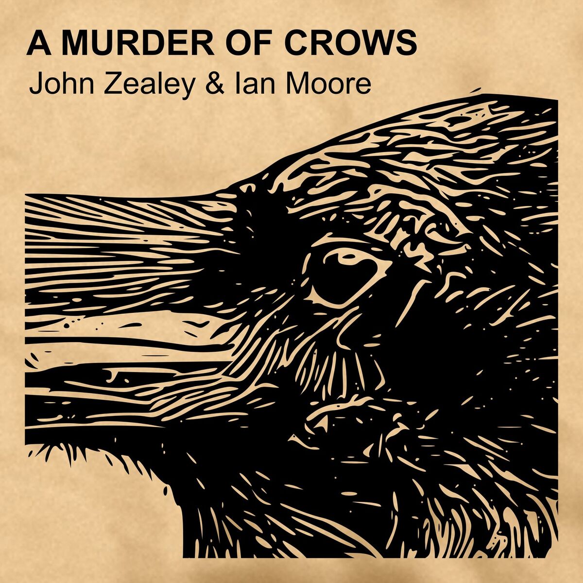 Album cover of A Murder of Crows