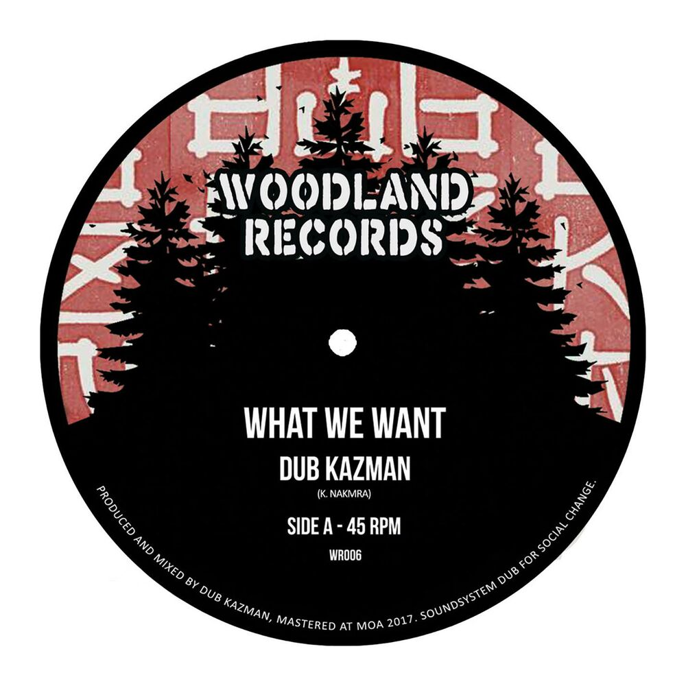 Picture of What We Want