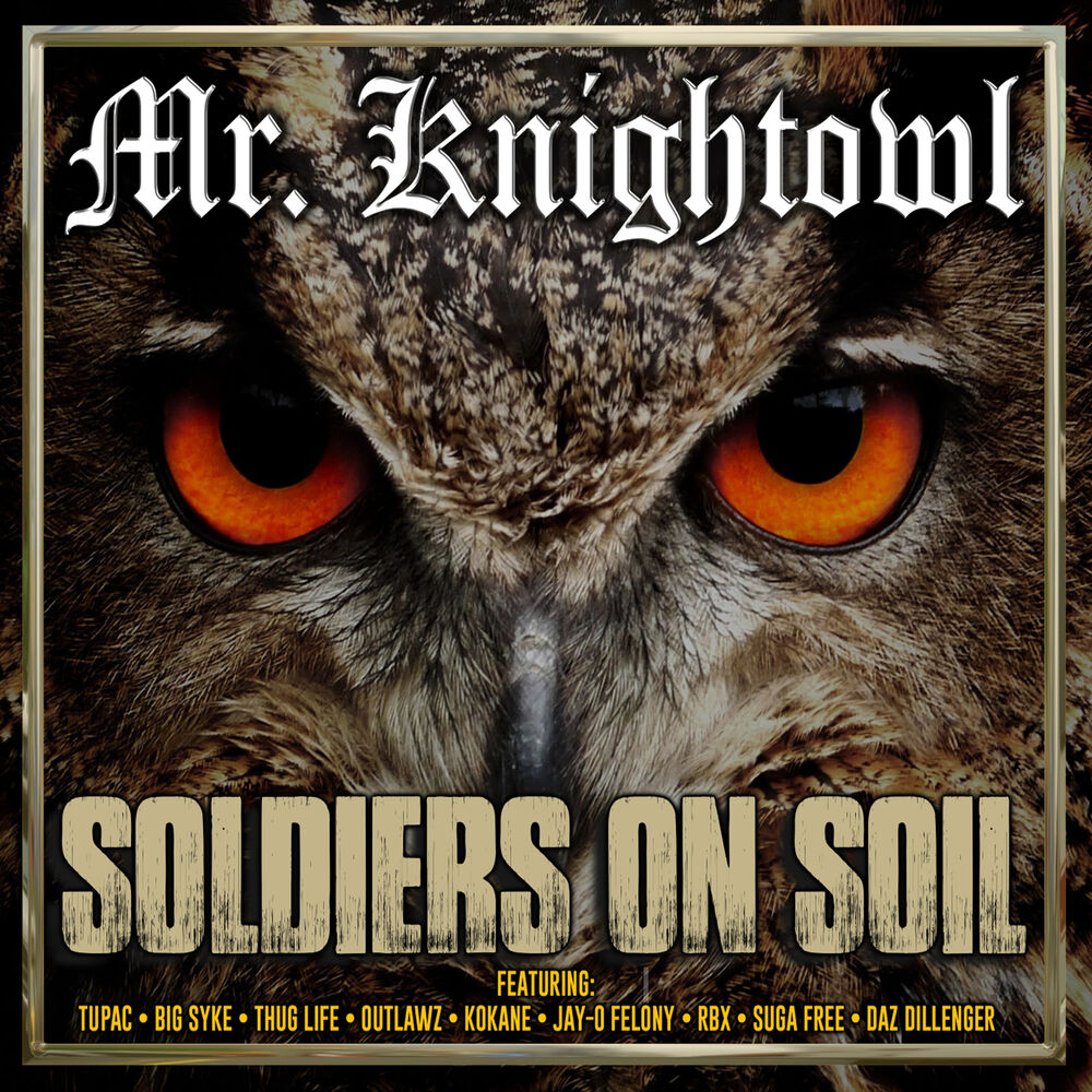 Picture of Soldiers on Soil