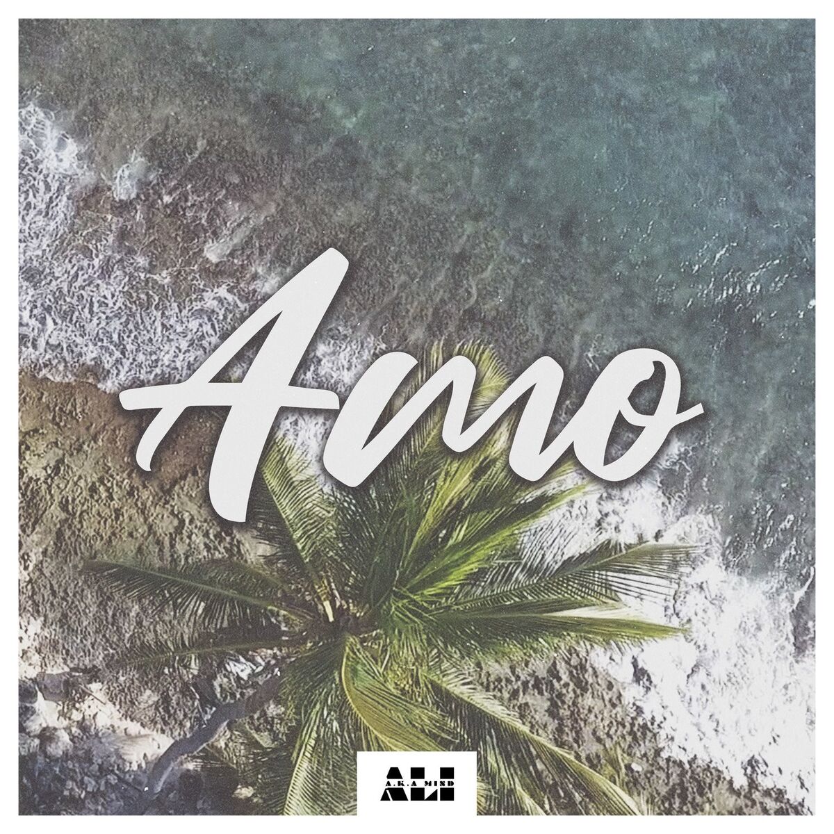 Album cover of Amo