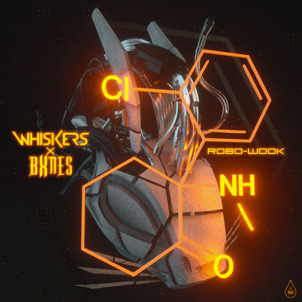 Picture of Robo Wook