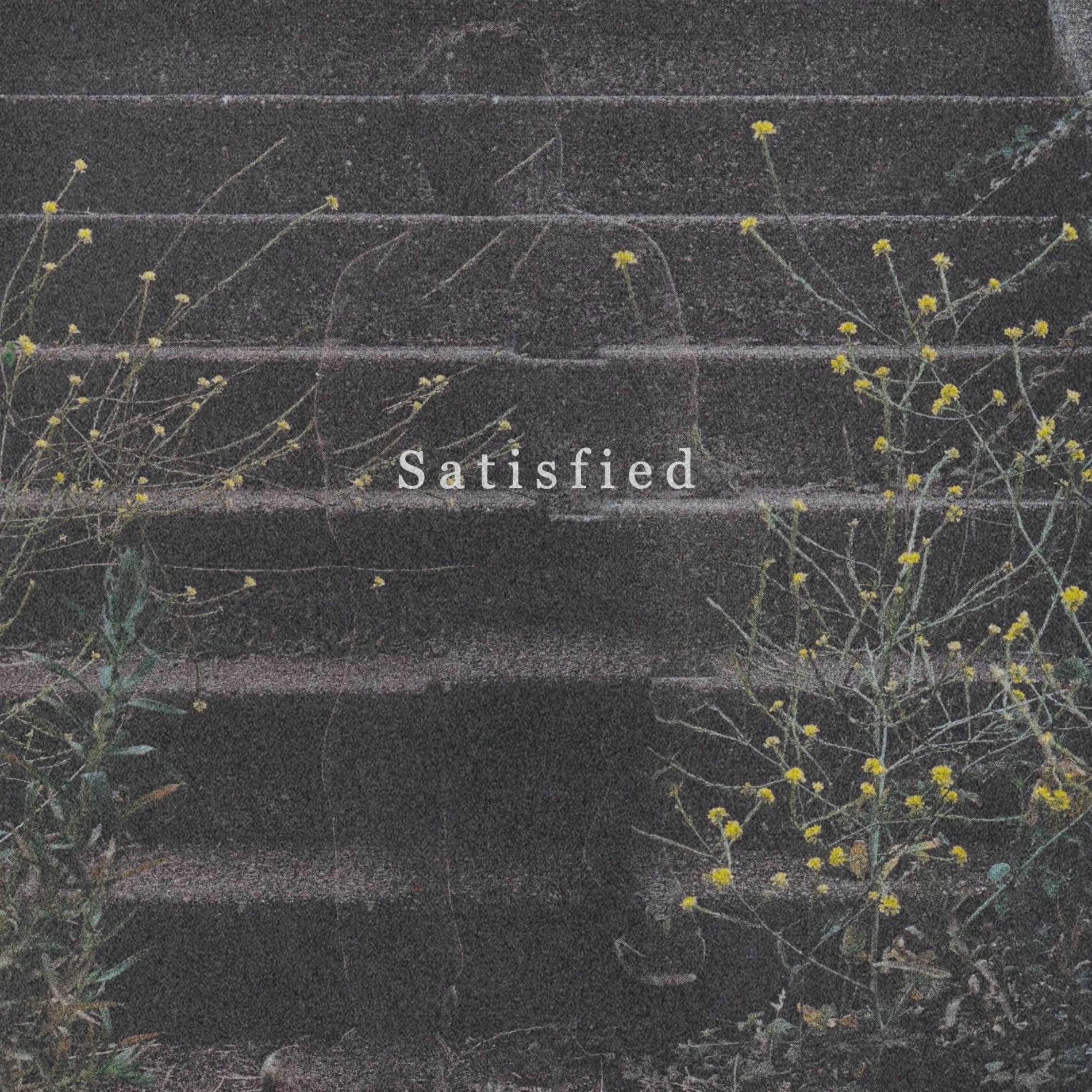 Album cover of Satisfied