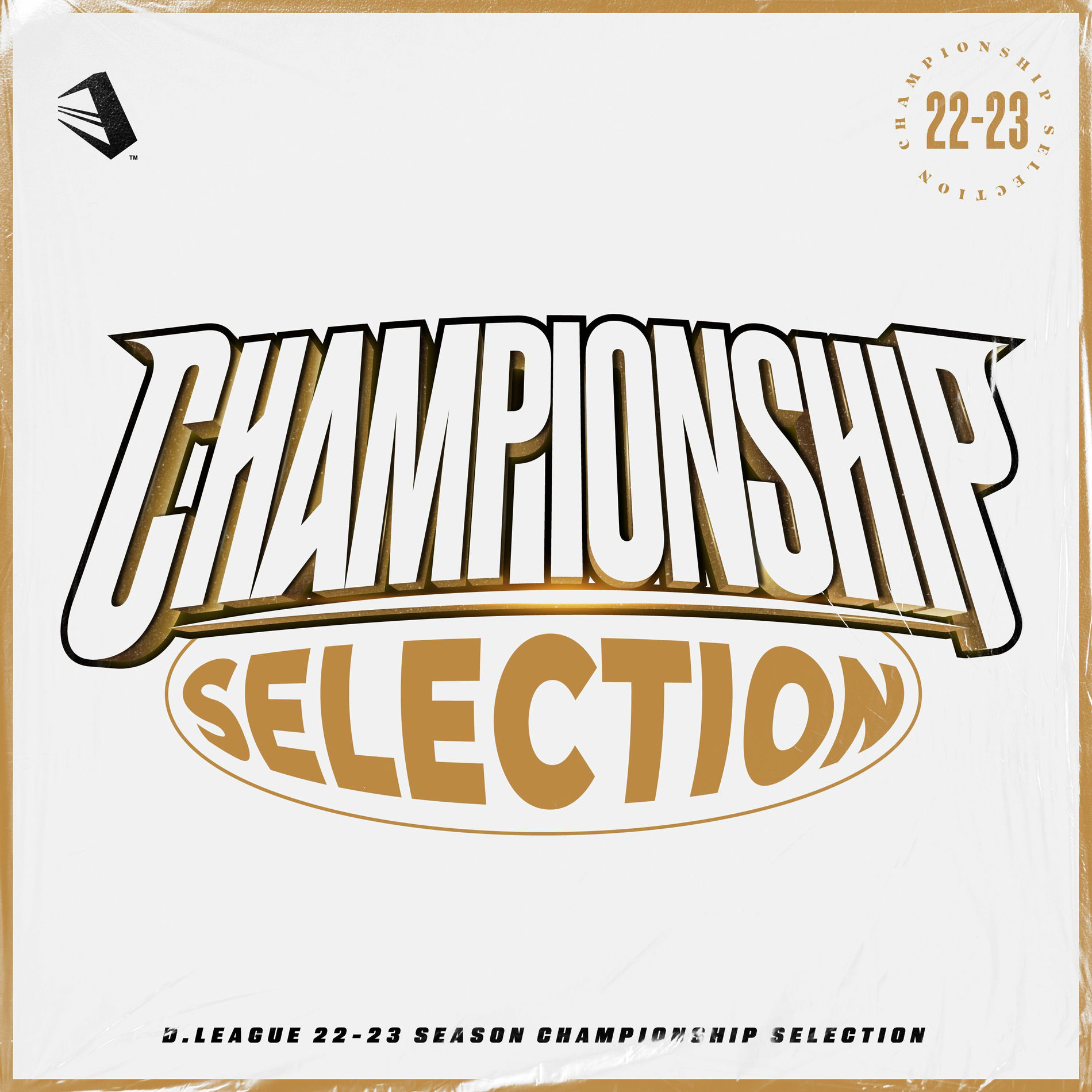 Album cover of D.LEAGUE 22 -23 SEASON - CHAMPIONSHIP SELECTION