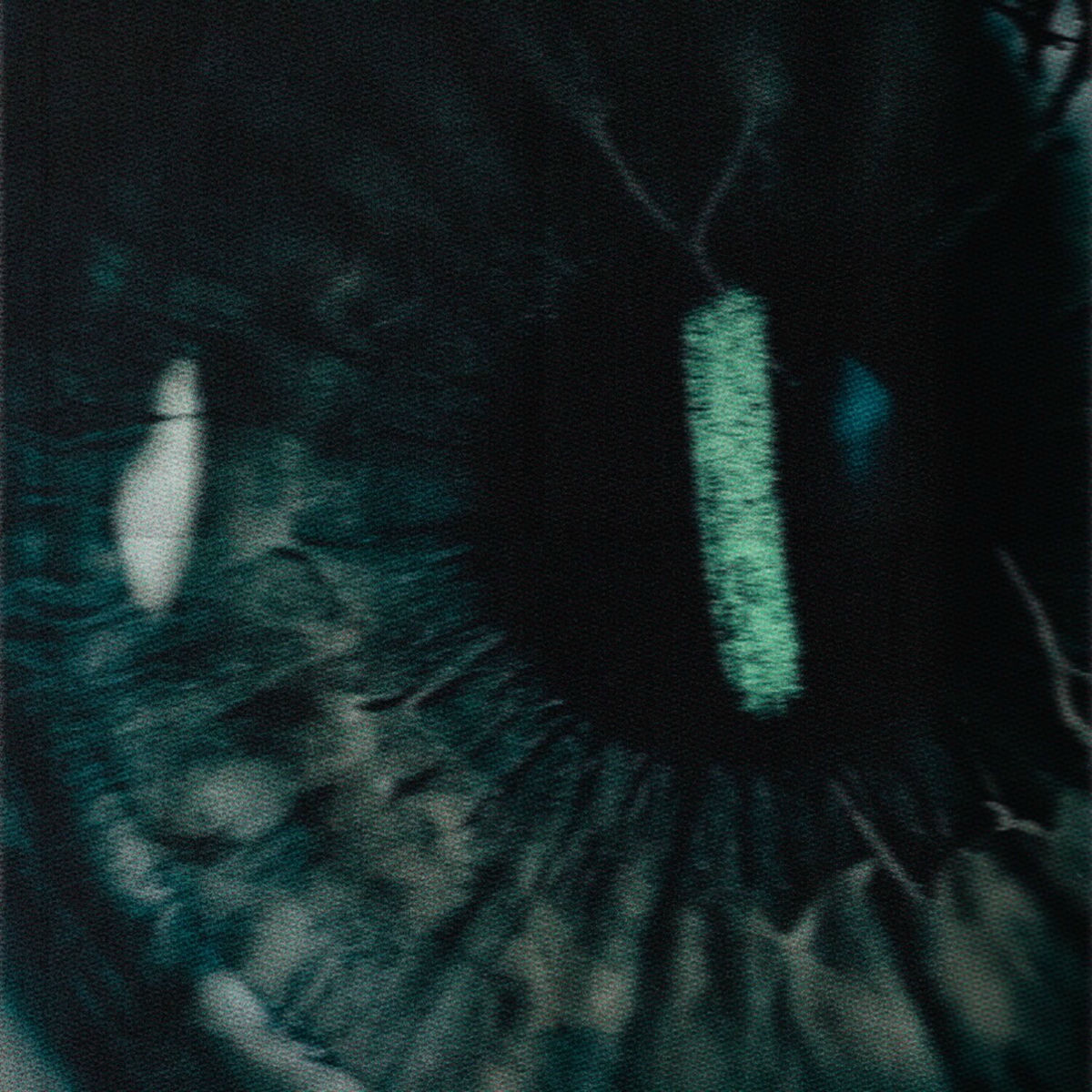 Album cover of CHRYSALIDE (Phase I)