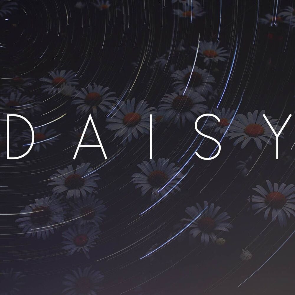 Picture of Daisy