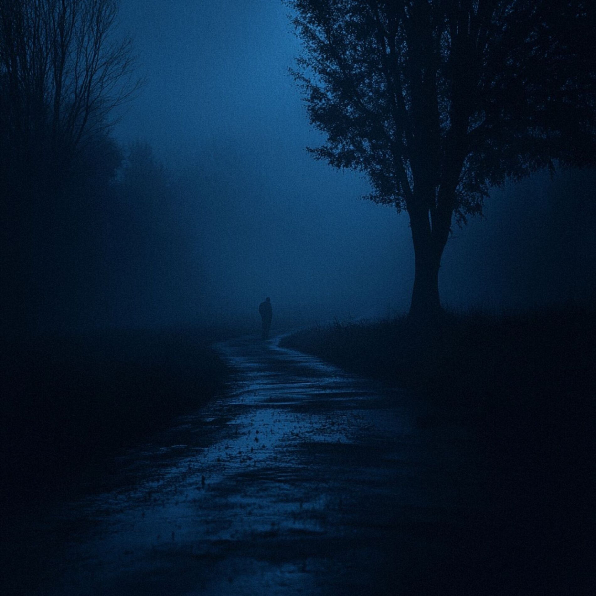 Album cover of wistful