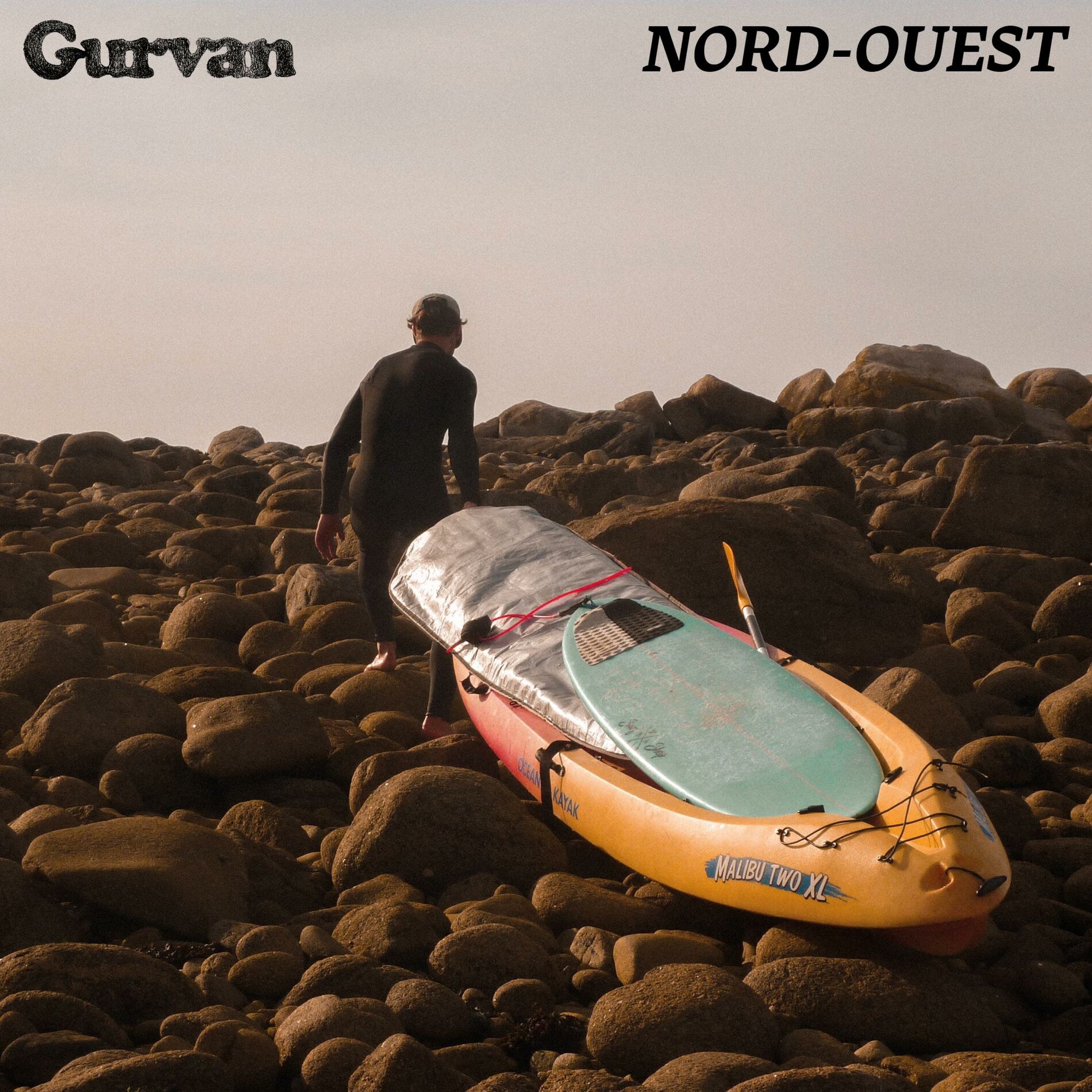 Album cover of Langue étrangère (feat. Camille)