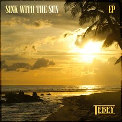 Cover of Sink with the Sun