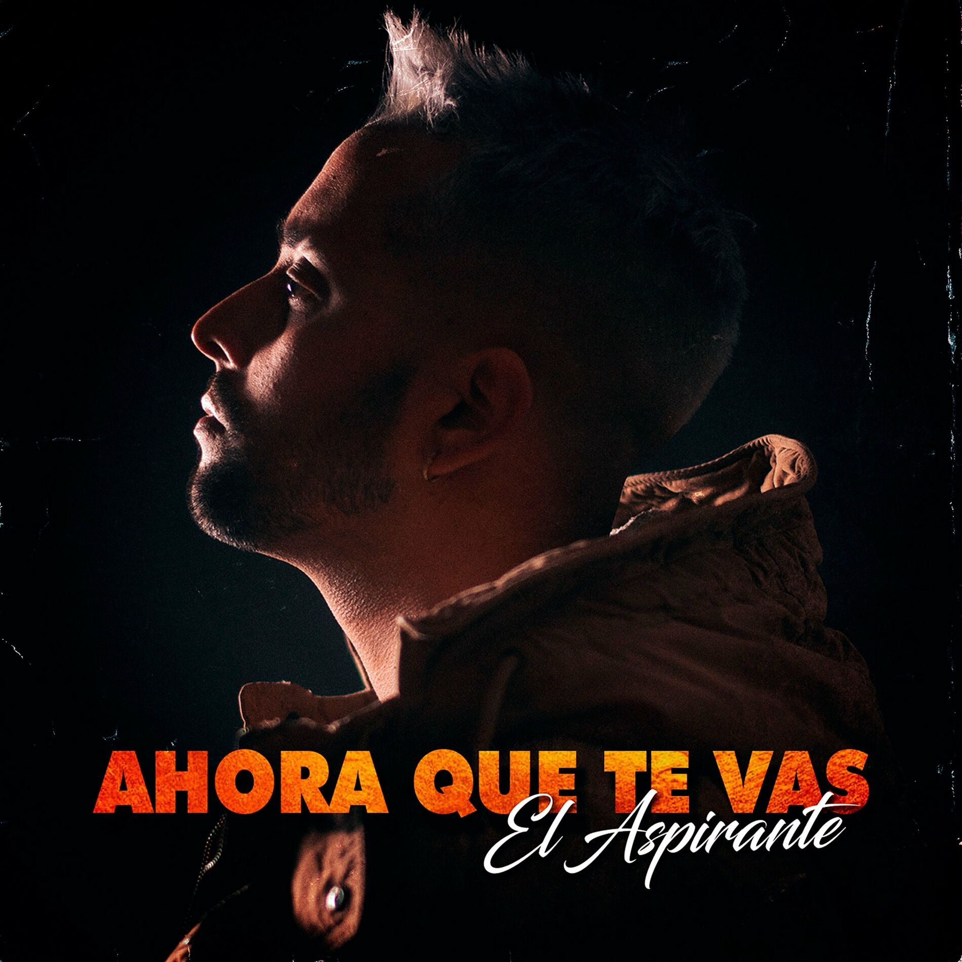Album cover of Ahora Que Te Vas