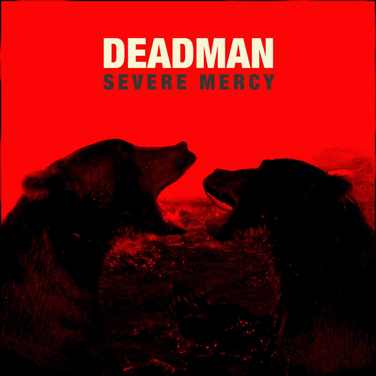 Album cover of Severe Mercy (Delux Edition)