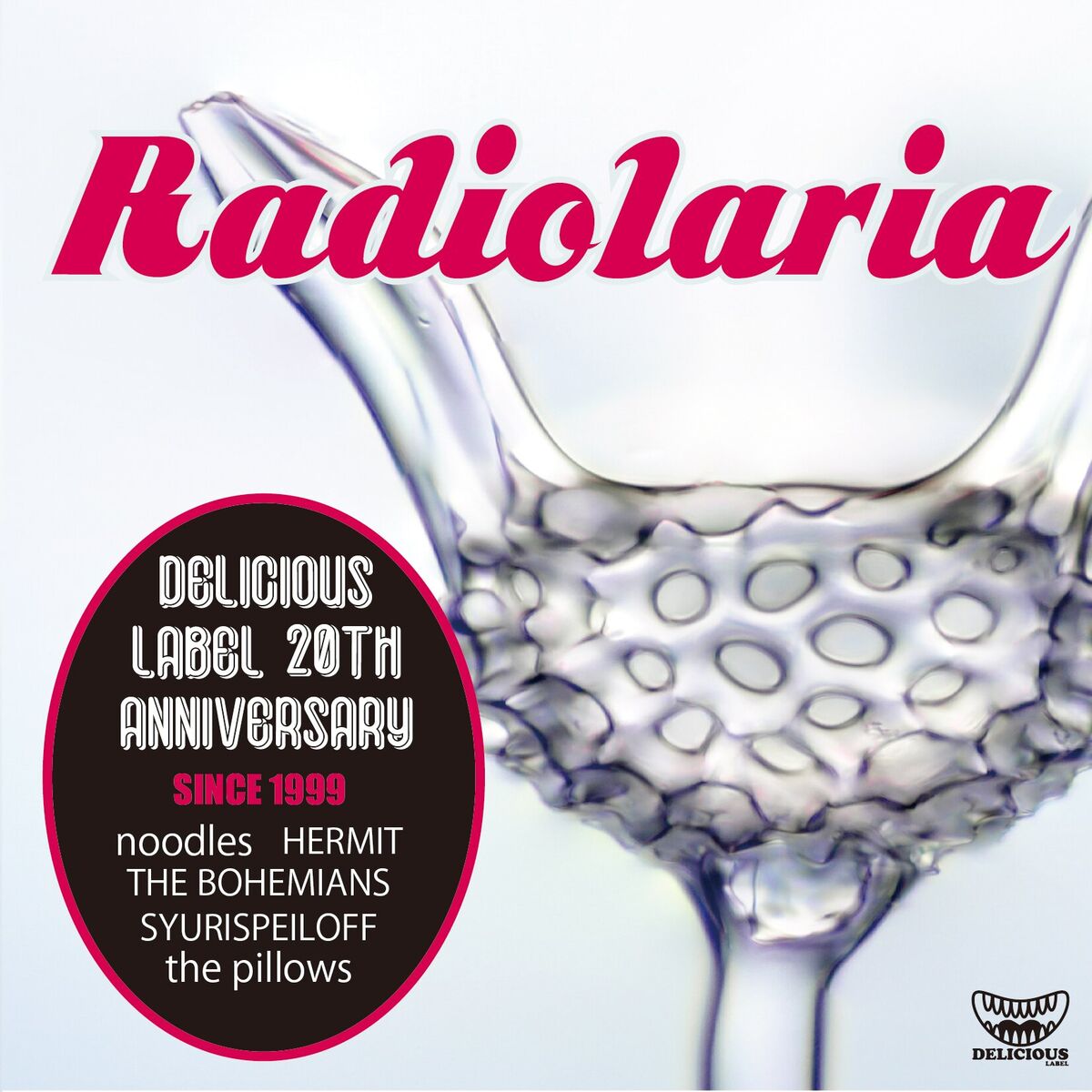 Album cover of Radiolaria