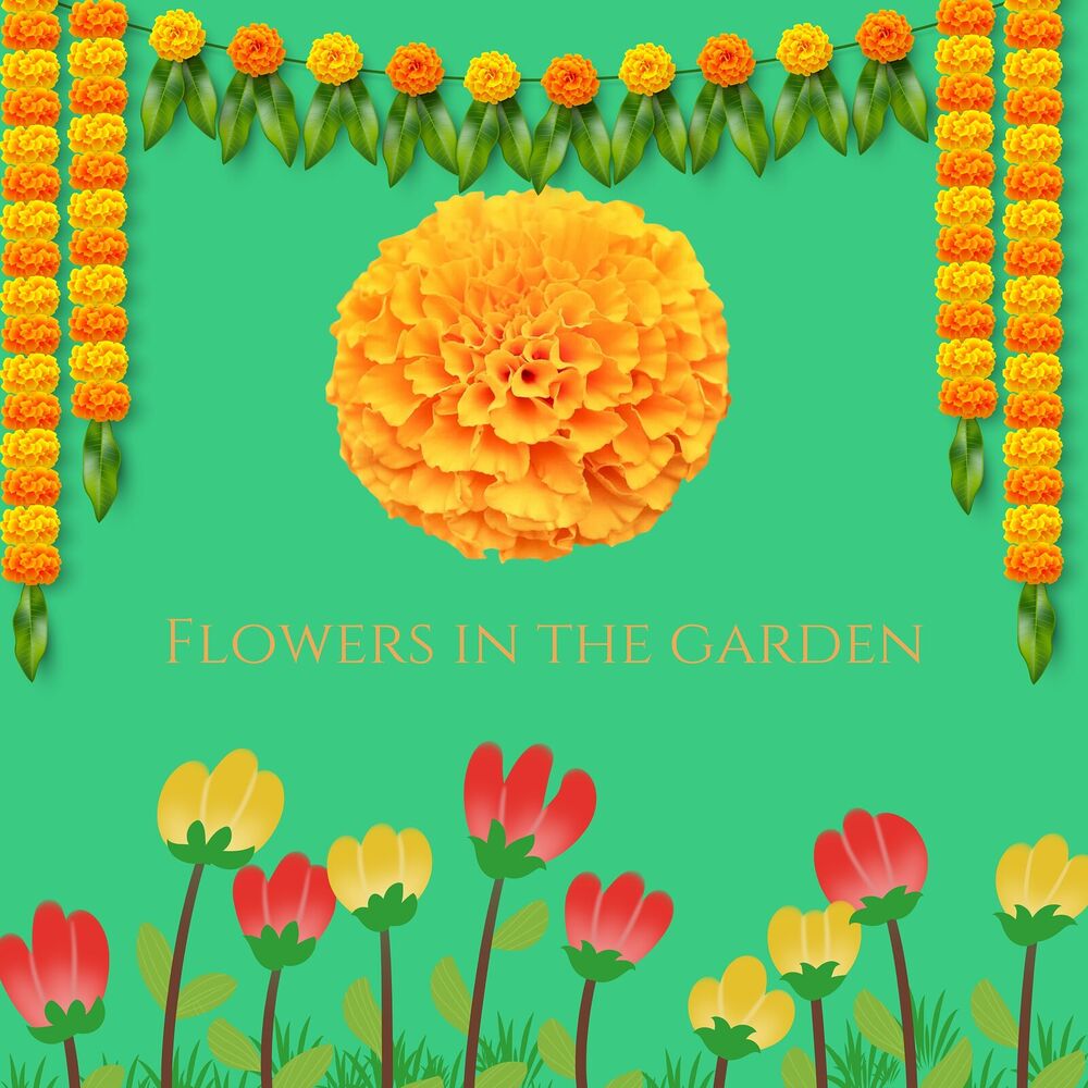 Picture of Flowers in the Garden