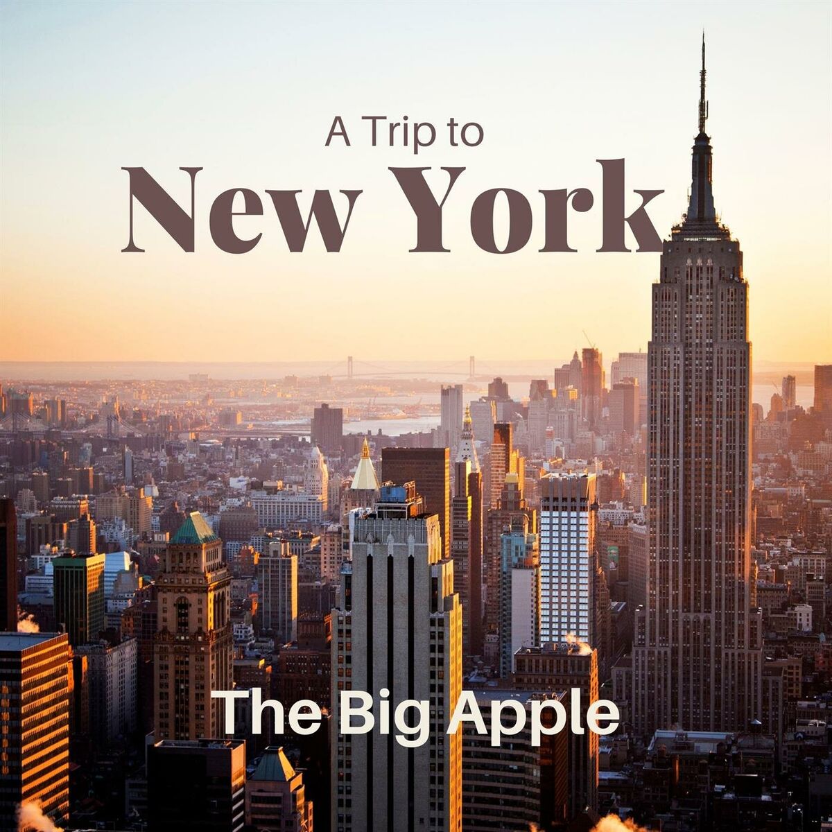 Album cover of A Trip to New York - The Big Apple