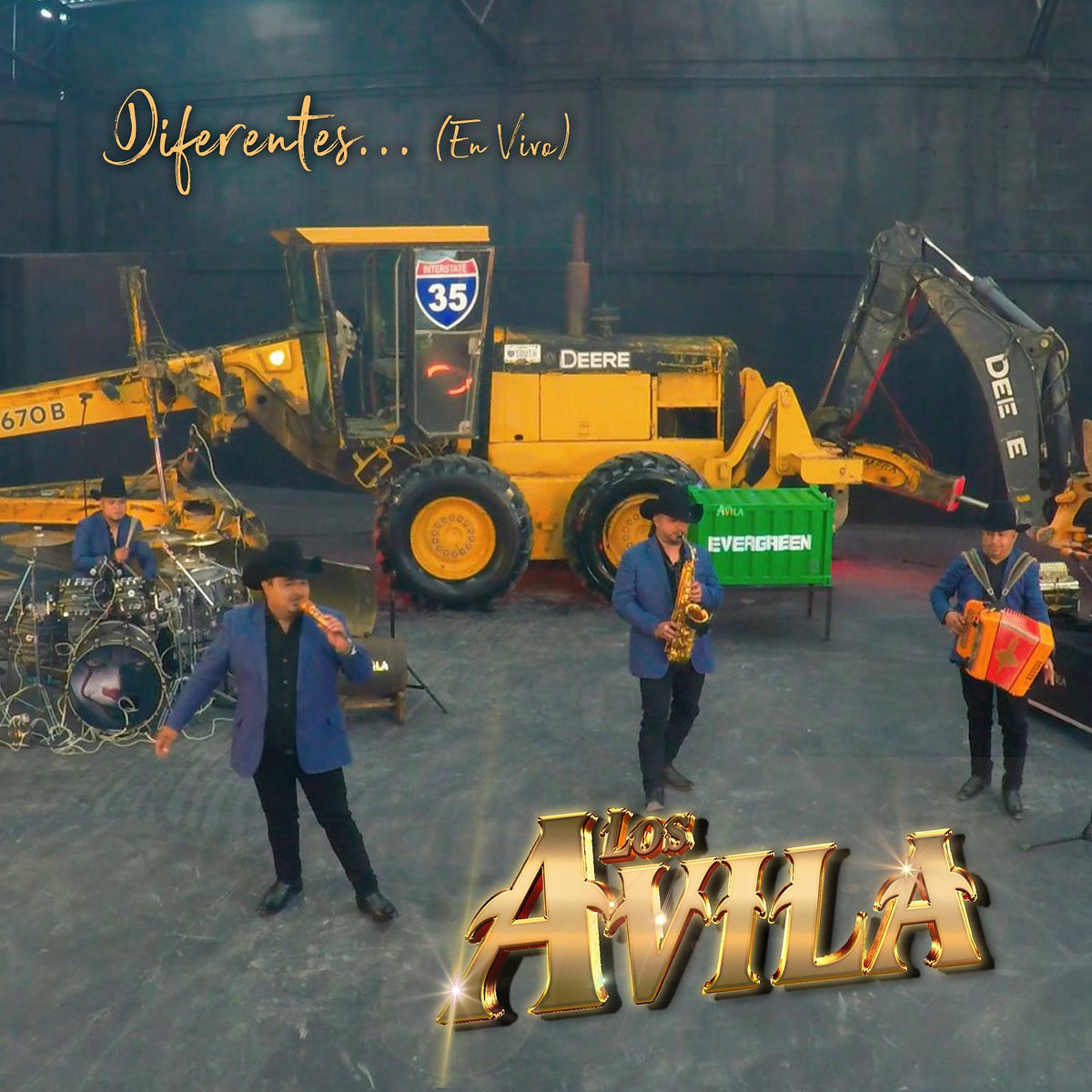 Album cover of Diferentes (En Vivo)