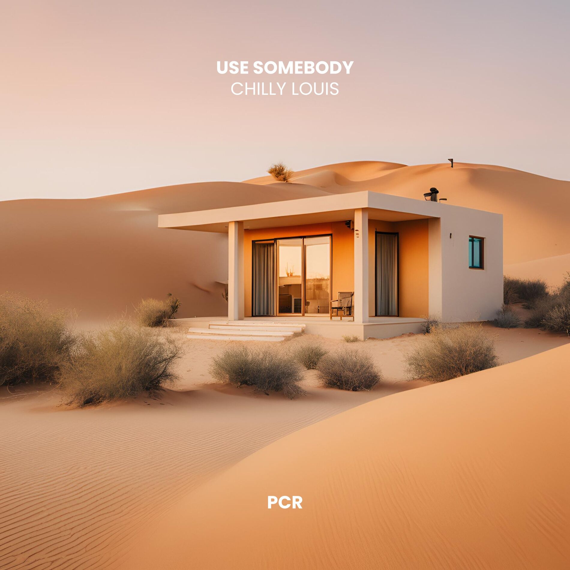 Album cover of Use Somebody (Afro House)