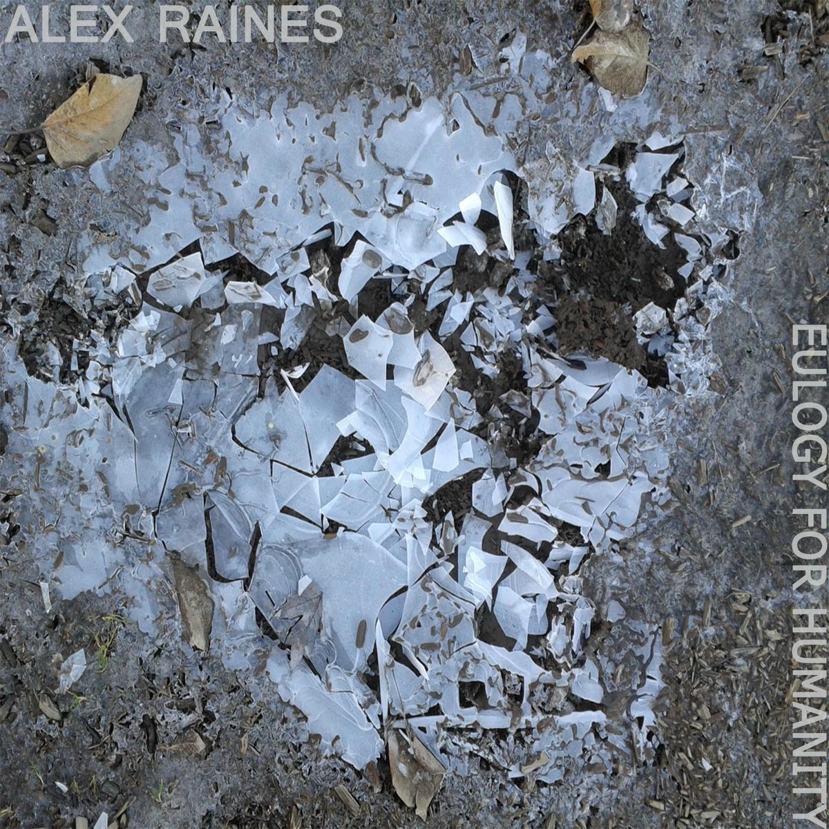 Album cover of Eulogy for Humanity