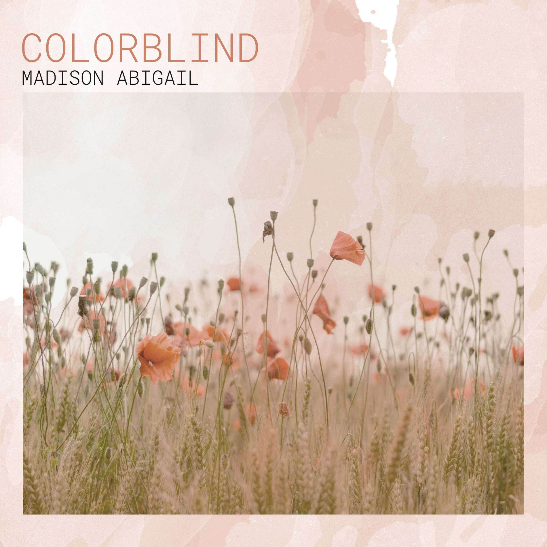 Album cover of Colorblind