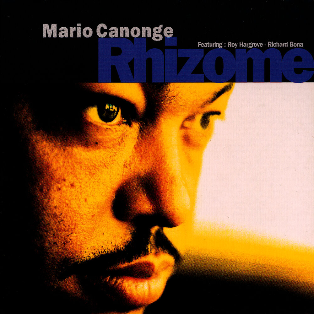 Picture of Rhizome
