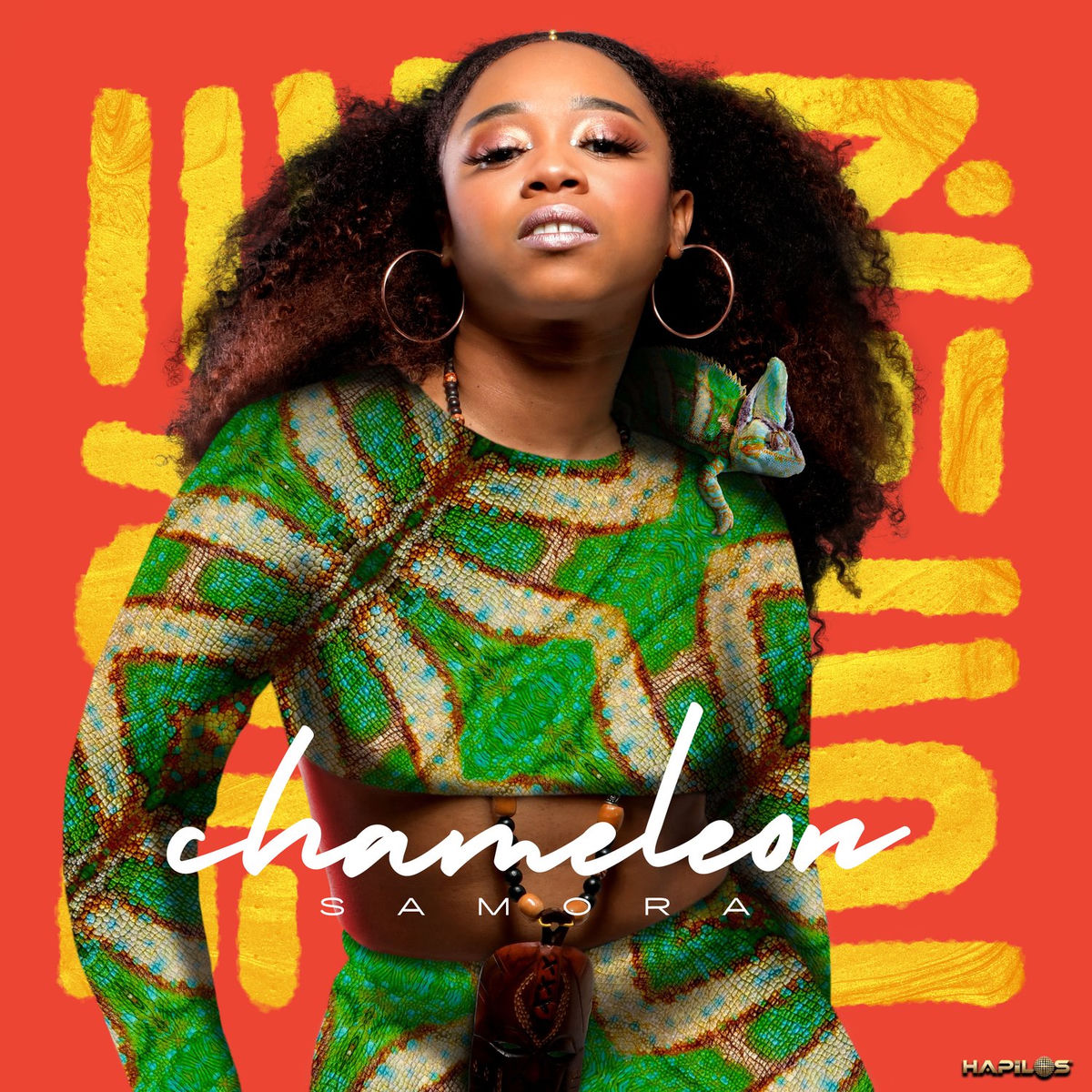 Album cover of Chameleon