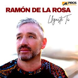 Cover of Llegaste Tú