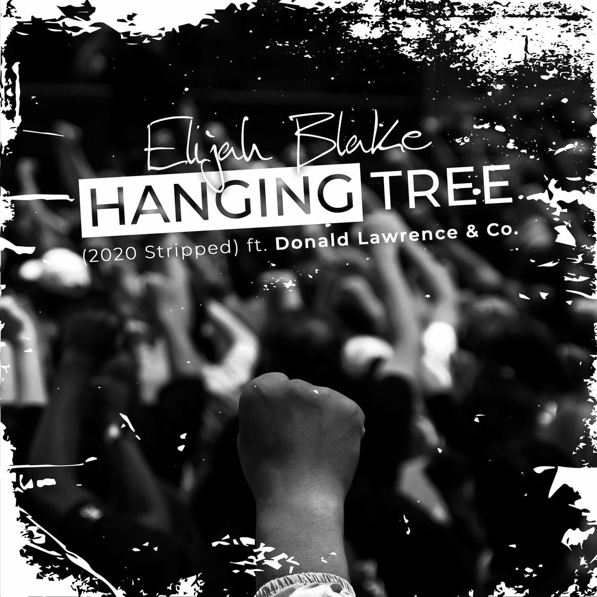 Album cover of Hanging Tree (2020 Stripped)