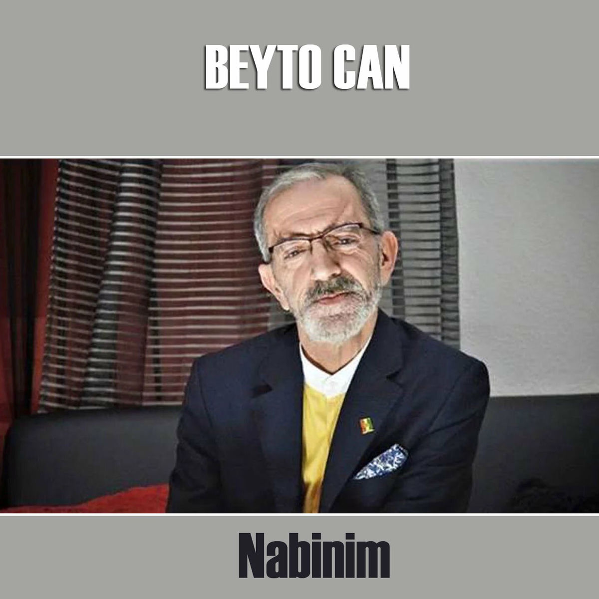 Album cover of Nabinim
