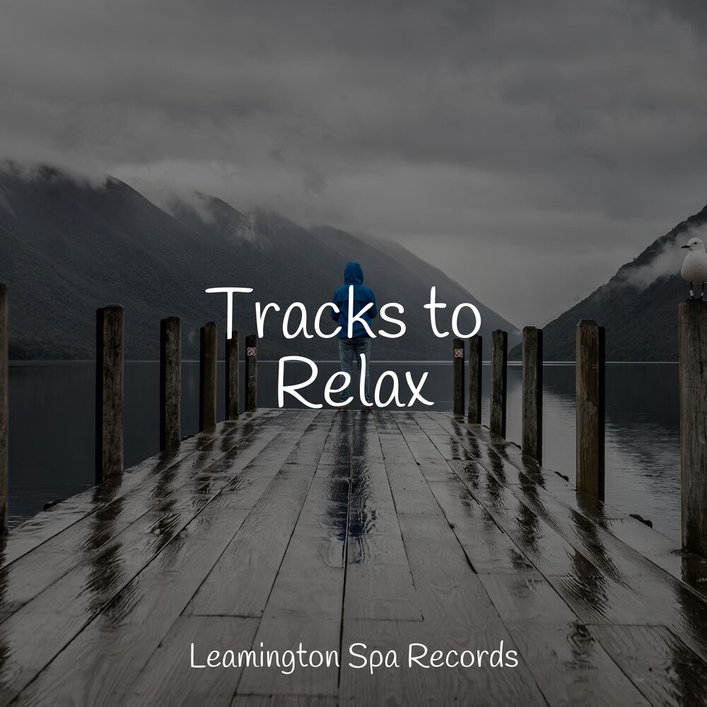 Picture of Tracks to Relax