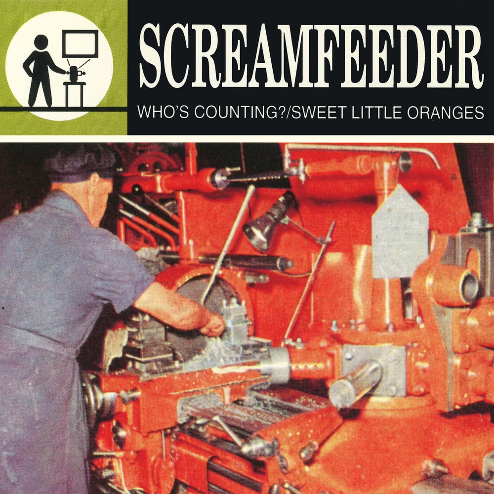 Album artwork for Who’s Counting? by Screamfeeder