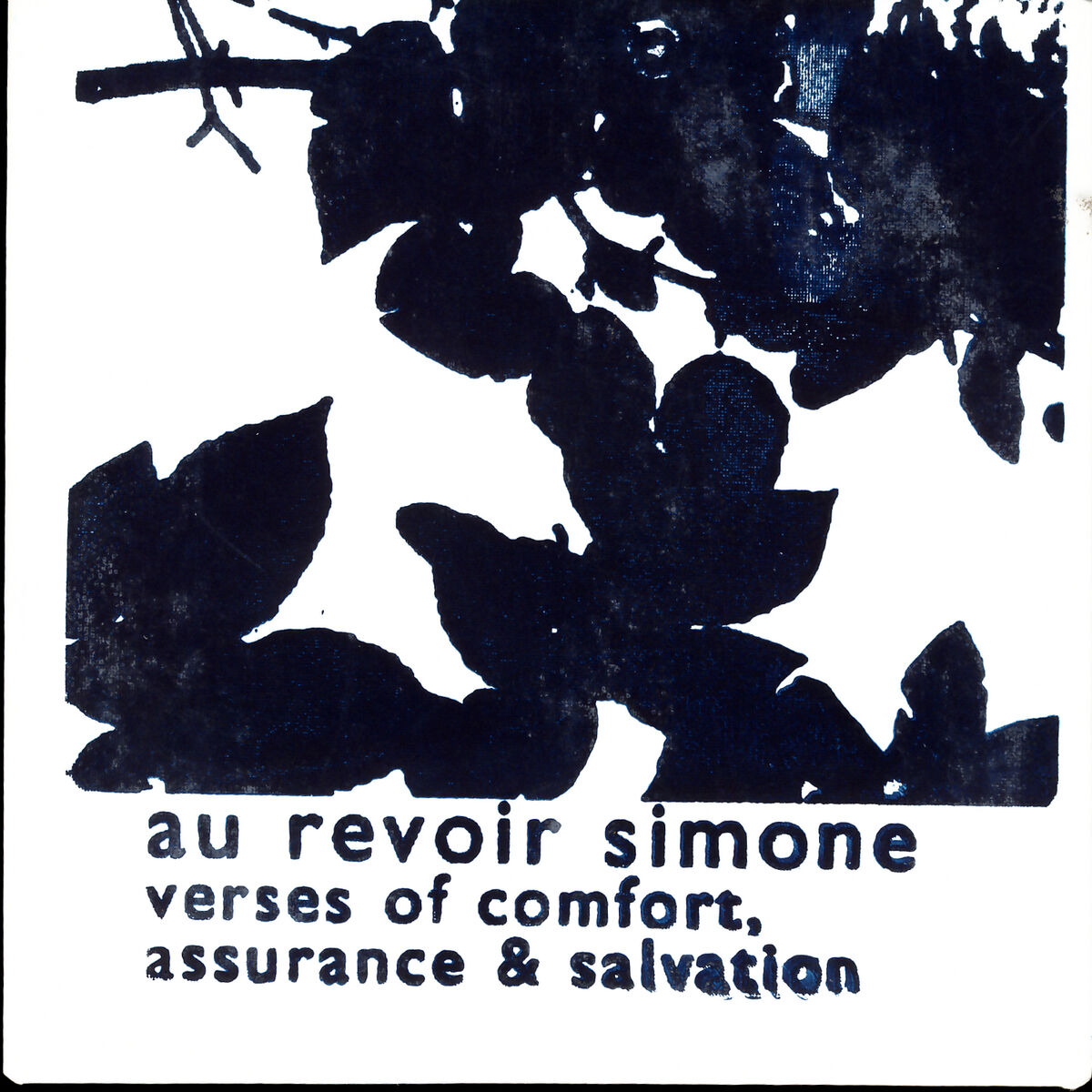 Album cover of Verses Of Comfort, Assurance & Salvation