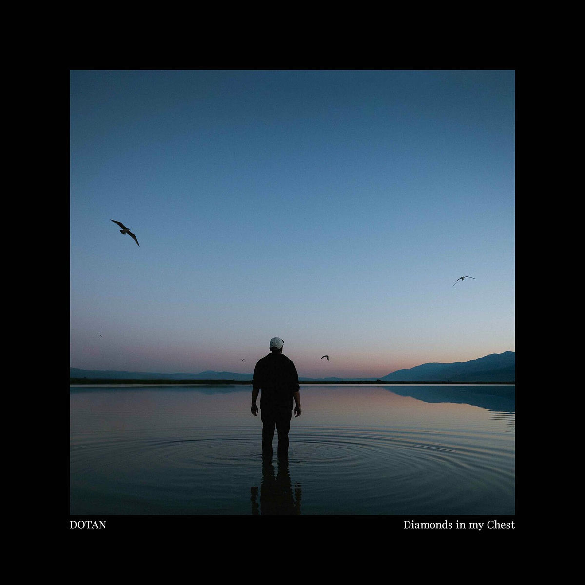 Album cover of Diamonds in My Chest