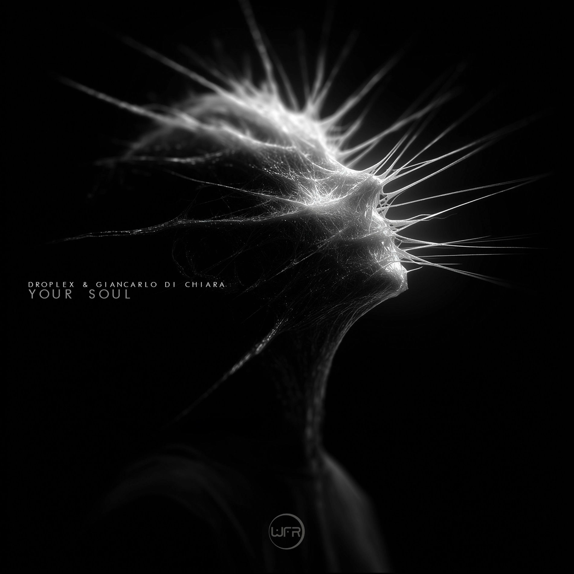 Album cover of Your Soul