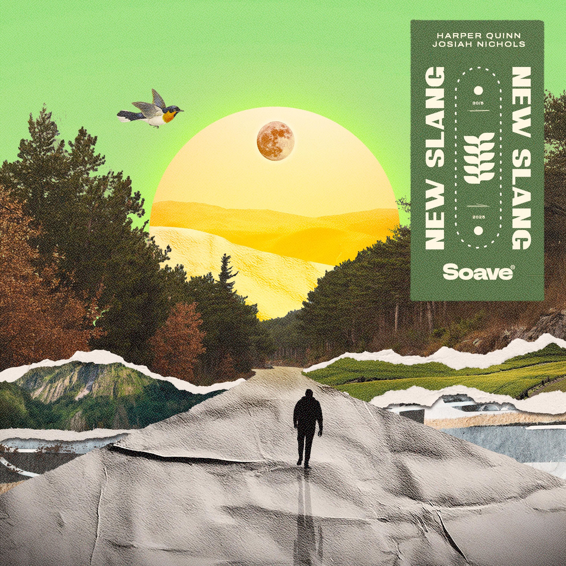Album cover of New Slang
