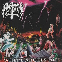 Cover of Where Angels Die