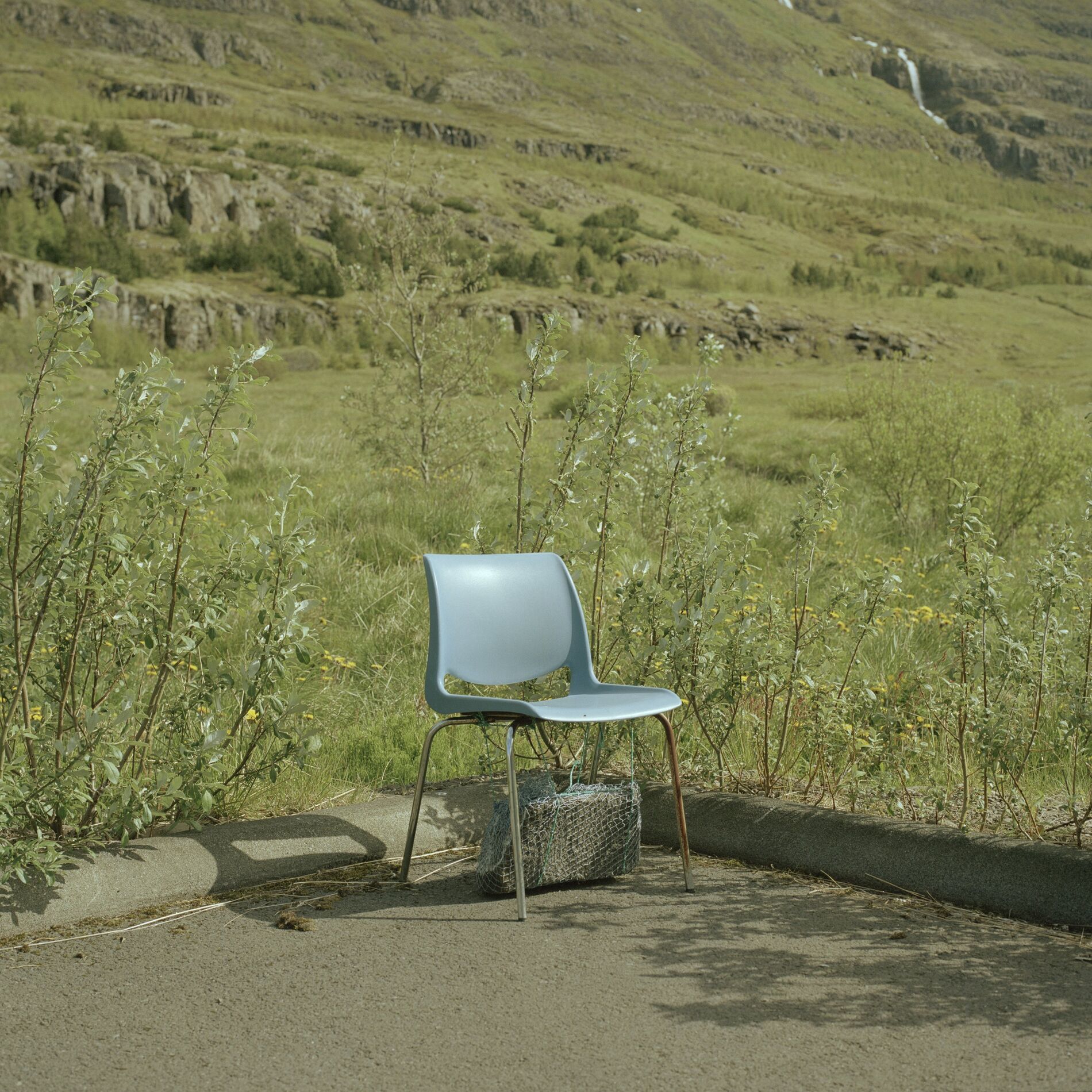Album cover of Golden Cow
