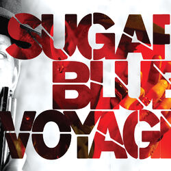 Cover of Voyage