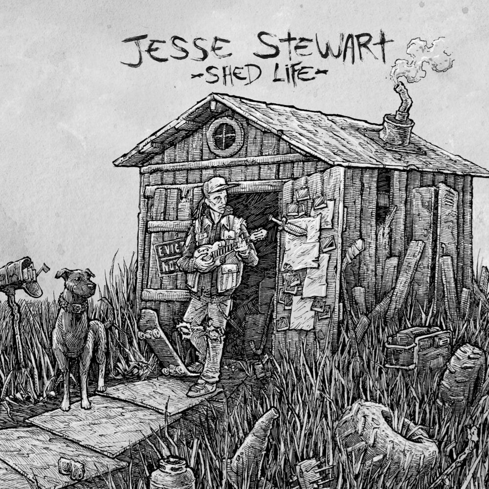 Picture of Shed Life