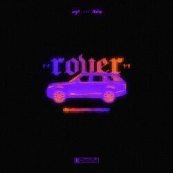 Cover of Rover